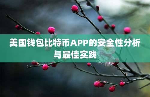 美国钱包比特币APP的安全性分析与最佳实践