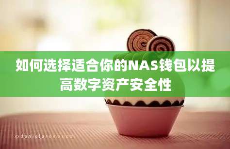 如何选择适合你的NAS钱包以提高数字资产安全性