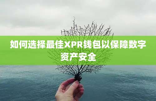 如何选择最佳XPR钱包以保障数字资产安全