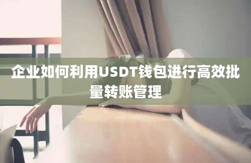 企业如何利用USDT钱包进行高效批量转账管理