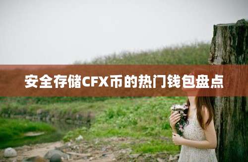 安全存储CFX币的热门钱包盘点