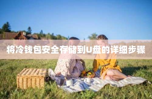 将冷钱包安全存储到U盘的详细步骤