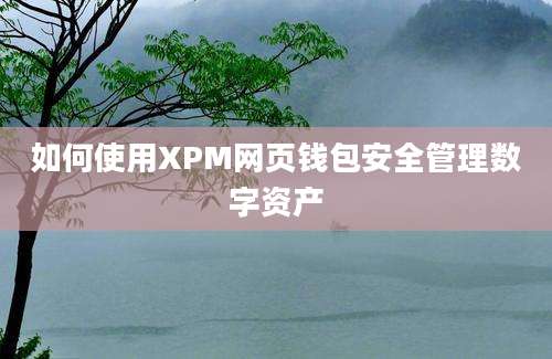 如何使用XPM网页钱包安全管理数字资产