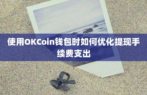 使用OKCoin钱包时如何优化提现手续费支出