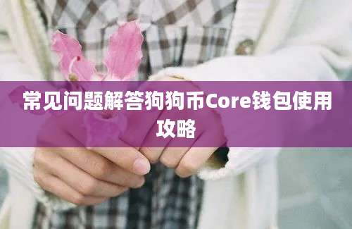 常见问题解答狗狗币Core钱包使用攻略