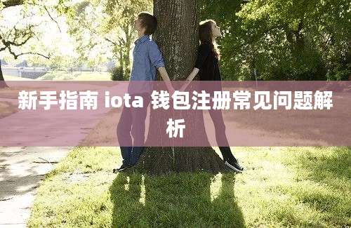 新手指南 iota 钱包注册常见问题解析