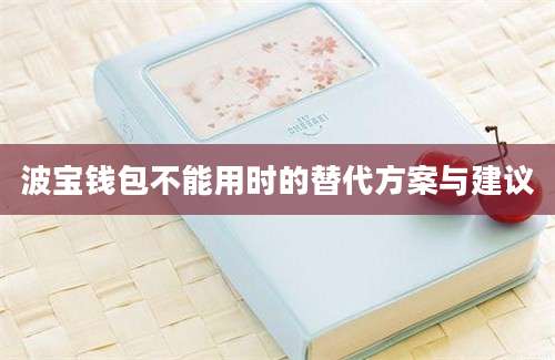 波宝钱包不能用时的替代方案与建议