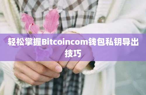 轻松掌握Bitcoincom钱包私钥导出技巧