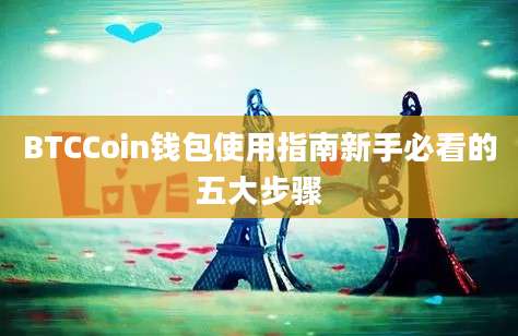 BTCCoin钱包使用指南新手必看的五大步骤