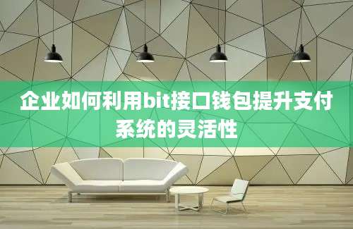 企业如何利用bit接口钱包提升支付系统的灵活性