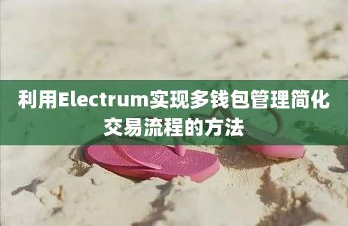 利用Electrum实现多钱包管理简化交易流程的方法