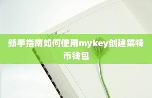 新手指南如何使用mykey创建莱特币钱包