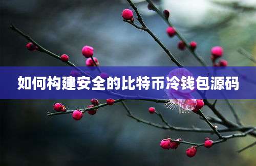 如何构建安全的比特币冷钱包源码