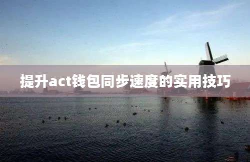 提升act钱包同步速度的实用技巧