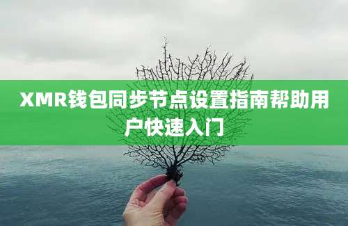 XMR钱包同步节点设置指南帮助用户快速入门