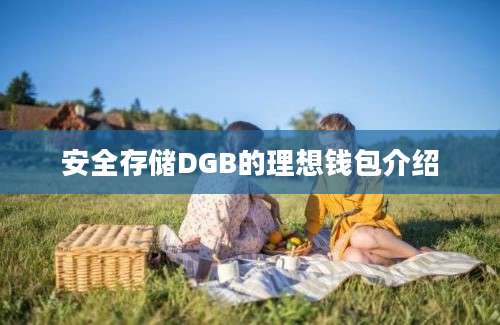 安全存储DGB的理想钱包介绍