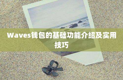 Waves钱包的基础功能介绍及实用技巧