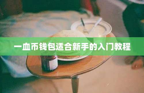 一血币钱包适合新手的入门教程