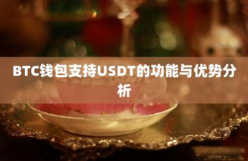 BTC钱包支持USDT的功能与优势分析