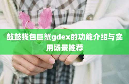 鼓鼓钱包巨蟹gdex的功能介绍与实用场景推荐