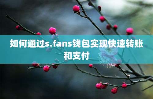 如何通过s.fans钱包实现快速转账和支付