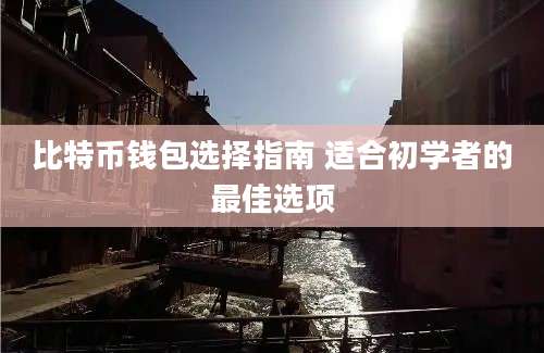 比特币钱包选择指南 适合初学者的最佳选项