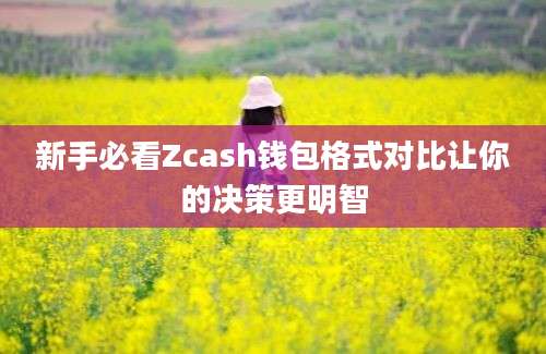 新手必看Zcash钱包格式对比让你的决策更明智