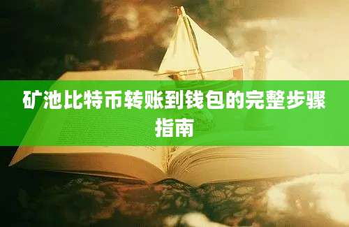 矿池比特币转账到钱包的完整步骤指南