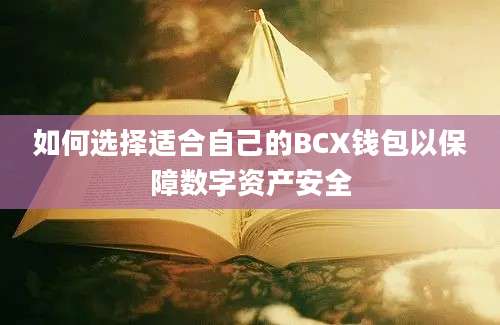 如何选择适合自己的BCX钱包以保障数字资产安全