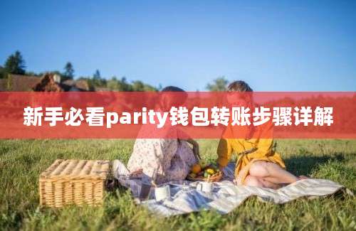 新手必看parity钱包转账步骤详解