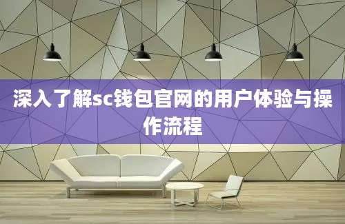 深入了解sc钱包官网的用户体验与操作流程