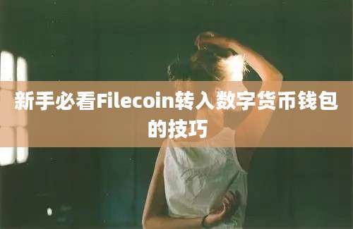 新手必看Filecoin转入数字货币钱包的技巧