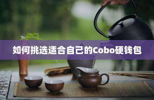 如何挑选适合自己的Cobo硬钱包