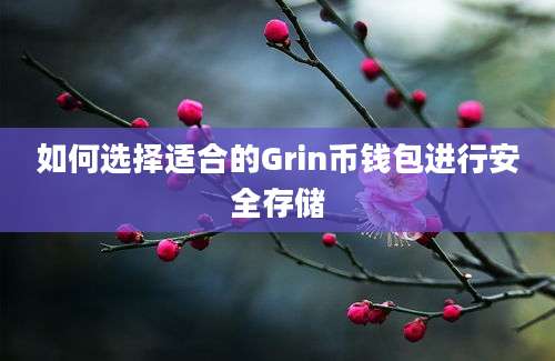 如何选择适合的Grin币钱包进行安全存储