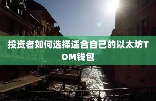 投资者如何选择适合自己的以太坊TOM钱包