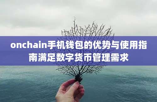 onchain手机钱包的优势与使用指南满足数字货币管理需求