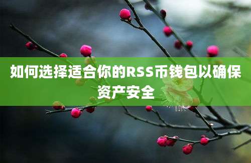 如何选择适合你的RSS币钱包以确保资产安全