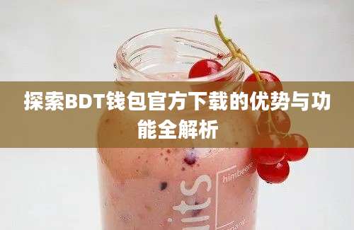 探索BDT钱包官方下载的优势与功能全解析