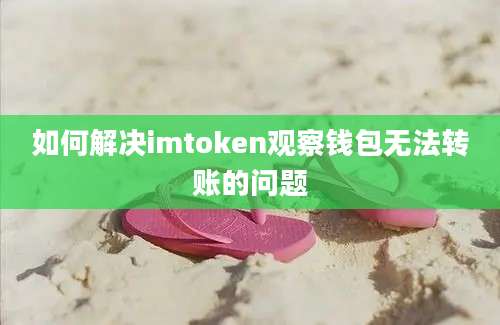 如何解决imtoken观察钱包无法转账的问题