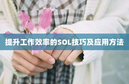 提升工作效率的SOL技巧及应用方法