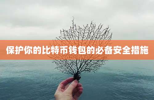 保护你的比特币钱包的必备安全措施