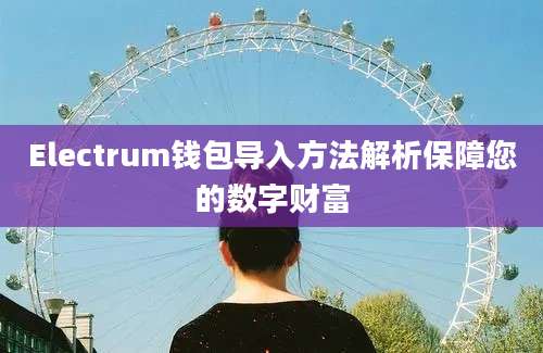 Electrum钱包导入方法解析保障您的数字财富