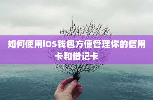 如何使用iOS钱包方便管理你的信用卡和借记卡