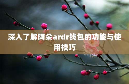 深入了解阿朵ardr钱包的功能与使用技巧