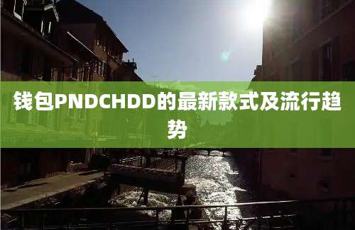 钱包PNDCHDD的最新款式及流行趋势