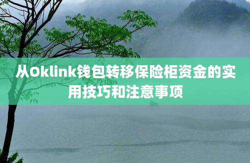 从Oklink钱包转移保险柜资金的实用技巧和注意事项