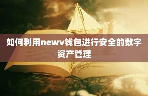 如何利用newv钱包进行安全的数字资产管理