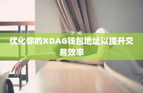 优化你的XDAG钱包地址以提升交易效率