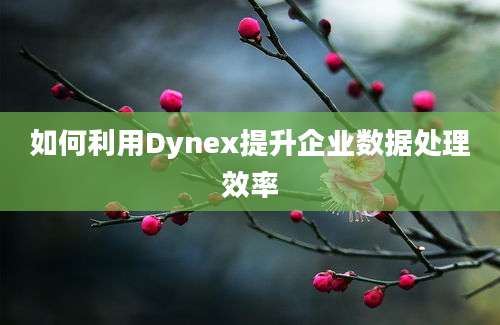 如何利用Dynex提升企业数据处理效率