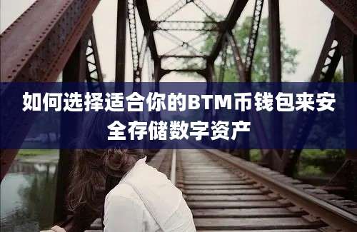 如何选择适合你的BTM币钱包来安全存储数字资产